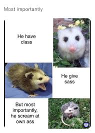 Most Importantly User17037 Memes