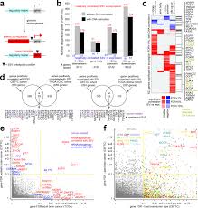 In addition, there are many officially. A Pediatric Brain Tumor Atlas Of Genes Deregulated By Somatic Genomic Rearrangement Nature Communications