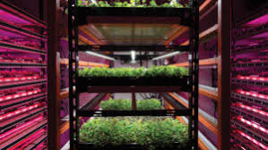The growing methods may include the use of soil, aeroponic or hydroponic practices. A Look Beyond The Hype Of Vertical Farming Greenhouse Grower
