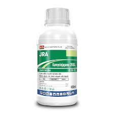 Kamycinjapane 20SL