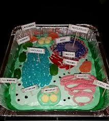 Examples Of Plant Cell Projects How To Make A 3d Model Of A Plant Cell With Paper 3d Animal Cell Model Animal Cell Project Plant Cell Project Cells Project