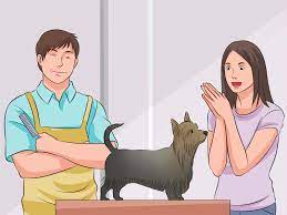 Accelerate your career as a professional pet spa owner. How To Become A Dog Groomer 12 Steps With Pictures Wikihow