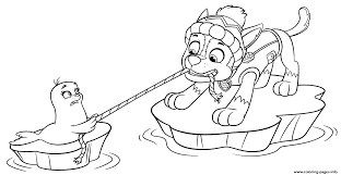 When mayor humdinger and his cousin ryder fall into the trap and steal the meteor to take over the city, the puppies must work together and use their new powers. Paw Patrol Chase On Ice Coloring Pages Printable