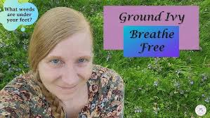 Creeping Charlie Care: What to Know