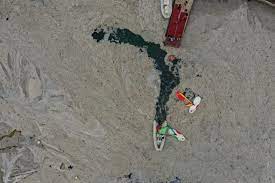 Field work has started to bring marine mucilage in the sea of marmara into economy. Krizzaiq2lpbvm