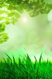Natural Green Background Green Backgrounds Flower Background Wallpaper Green Nature