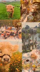 Check spelling or type a new query. Cottagecore Aesthetic Wallpapers Top Free Cottagecore Aesthetic Backgrounds Wallpaperaccess