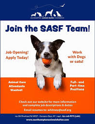 Please search your local animal shelters and adopt a new family member. Animal Shelter Jobs Near Me Part Time Pet S Gallery