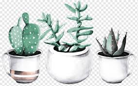 Aestheitcs aesthetic art aesthetic art cactus room decor doodles drawing dmme flowers goghleaf goghflora van gogh room inspiration room inspo room ideas kanken plants peachy peach room vintage 7 544 notes. Cactaceae Succulent Plant Watercolor Painting Drawing Haworthia Suculent Cactus Painting Garden Png Pngwing
