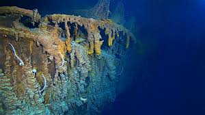 Its steel construction was held in place by 3 million rivets weighing 1200 tons, while each link in the ship's anchor chains weighed 175 pounds. Is The Famous Titanic Wreck Under Threat Lonely Planet