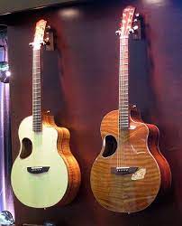 Namm Oddities 2010 Guitars Guitar Acoustic Guitar Playing Guitar