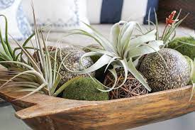 We did not find results for: Pin On Plants