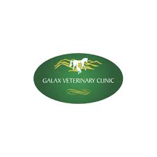 Brianna Idleman, DVM - Galax Veterinary Clinic - CLOSED, 300 E ...