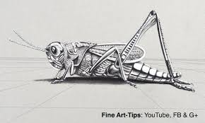 How To Draw A Metalic Grasshopper In 3d Chrome Cricket Drawings Art Art Tips