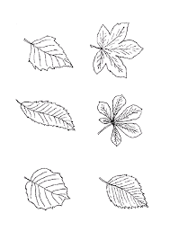 page 20 sur 39 hugolescargot com feuille arbre dessin coloriage automne de popsicle zip