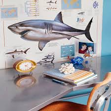 As you sit in front of the shark's open mouth, you'll be transported to the open seas for a great adventure. A Marine Biology Themed Room Parents