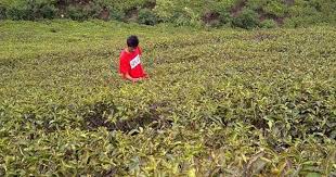 Ingin yang adem dan sedikit bermain air? Tempat Wisata Di Kabupaten Majalengka