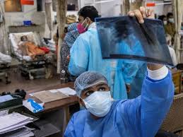 Zigomicosis — mucormicosis clasificación y recursos externos … wikipedia español. What Is Mucormycosis And Why Is It Affecting Covid 19 Patients Quartz India
