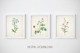 ★ this item is sold as digital file only. Gallery Wall Set Wildflower Print Classroom Posters 3 Piece Wall Art Above Bed Decor Botanical Print Set Instant Download Print Art Collectibles Prints Jewellerymilad Com