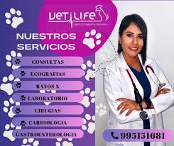 Centro Médico Veterinario Vet Life