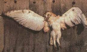 Chouette La Voie Lactee