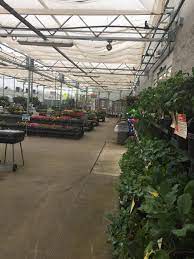Walmart bullies senior citizen so they do not have to pay for damage they did to her vehicle even though they admitted liability. Working Garden Center When The Plants Are Out Feels 100 Better Walmart