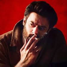 Shannuᴿᴱᴮᴱᴸᵂᴼᴼᴰ (@just_shannu)