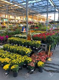 Home depot promo codes at dealnews.com for may 16, 2021. Rows Of Colorful Flowers And Plants For Sale At A Garden Nursery Stock Photo Picture And Royalty Free Image Image 132333962