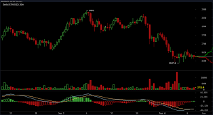 Why ethereum is on the rise. Dhkqqbzssltbhm