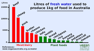 Live Vegan Save How Much Water Vegan Australia