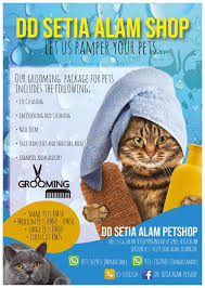 Kami memberi kegembiraan dan keseronokkan kepada pencinta kucing di malaysia. Grooming Selesa Sangat Untuk Si Dd Setia Alam Petshop Facebook