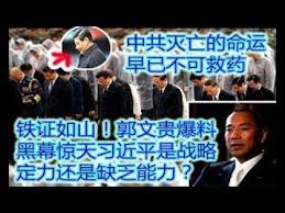 Image result for 習近平被潑墨