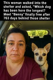 A'ho Respect and Honor🐾🐺💖🌹🌲🌎