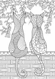 Pin On Patiodesigns