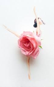 Dancecomp Genie Events On The App Store Flower Petal Art Floral Art Flower Art