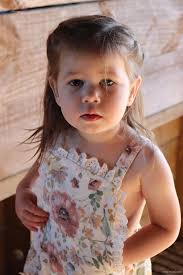 Pegasus Community Page