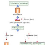 Detergent Plant Spray Drying in Pune, India | Raj Process ...