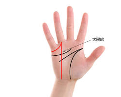 感情線の上に横線が入る線（結婚線）の画像