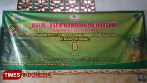Maybe you would like to learn more about one of these? Asam Asam Kambing Bu Harsuni Kuliner Legendaris Nganjuk Langganan Bupati Times Indonesia