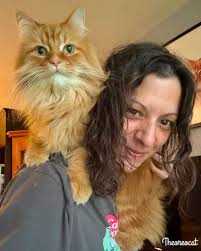 Good evening everyone, My dental went alright today and my four problematic  crowns were removed. I now have a temporary bridge that I will wear until  the real ceramic crowns are received