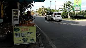 Di dalam sistem pernapasan manusia terjadi proses pertukaran antara gas oksigen dan karbondioksida. Tidak Mudah Menentukan Minyak Bulus Asli Dan Berkualitas Begini Ciri Ciri Menurut Pedagang Ini Banjarmasin Post