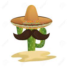 Illustration set with different cactuses. Mexican Cactus Character With Hat And Mustache Royalty Free Cliparts Vectors And Stock Illustration Image 66892052