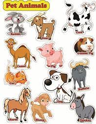 It is a vast topic that covers all there is to know about the many different animals on our planet. Buy Enigmatic Woodworks Magnetic Cutouts Sheets Mdf And 12 Printed Pet Animals With Names Online At Low Prices In India Amazon In