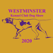 See more ideas about westminster dog show, dog show, westminster. Westminster Dog Show 2020 Live Home Facebook