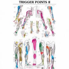 smoulders trigger point charts