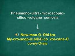 Dari masa satu ke yang lainya. Punggung In English Word Punggung English Translation