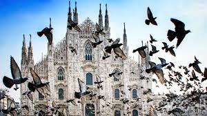 Tubidy indexes videos from internet and transcodes them into mp3 and mp4 to be played on your mobile phone. The Secret Worlds Of Milan S Design Illuminati Italian Tastemakers You Need To Know