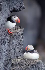 Mar 19, 2020 · and with that in mind, we've rounded up 100 bits of fun trivia that will make your day and restore that childlike sense of wonder. 50 Random Trivia Facts That Will Blow Your Mind Fun Facts For Kids Adults