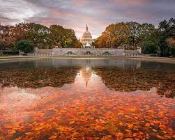 I am a native washingtonian that has been photographing couples and families for the last 12 years. 11 Spectacular Photos Of Fall Foliage In Washington Dc Washington Dc Photography Dc Photography Fall Foliage