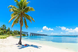 The opal paws service at opal sands resort stay at pier house 60 clearwater beach marina hotel with the family for sunset activities and the fun. 8 Best Florida Beaches Locals Want To Keep Secret Reader S Digest